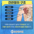 선율한의원 네이버블로그