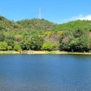 양을산산림욕장 네이버블로그