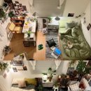 안녕, 아프리카 이미지