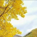 제이스헤어샵 - 보은군 | 제이스헤어샵