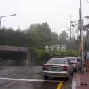 와룡공원 이미지