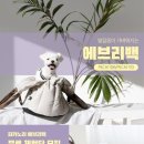 에브리백