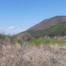 활천공인중개사사무소 이미지