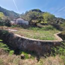 삼가제일부동산공인중개사사무소 이미지