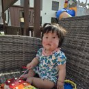 (주)피알디 | [돌전 아기 우유 알러지] - 알러지 증상& HA분유, 에피세람, 제로이드, 박테로신, 리도맥스로 케어한 후기