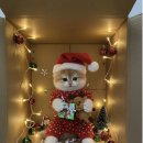 골든키티캐터리 이미지