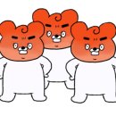 니모메플라워