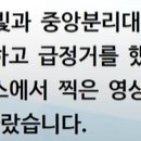 은평구 무단횡단 사고 이미지