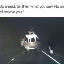 대성정육회관 이미지