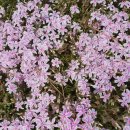 해찬솔농장 이미지