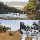 송림양돈 이미지