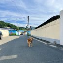 진도사랑민박 이미지