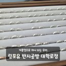㈜좋은세상여행 | 혜화놀거리 커플링 이색데이트 추천 링포유 반지공방 대학로점