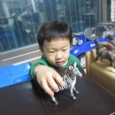 민준농장 이미지