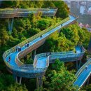 an urban forest trail in Fuzhou. 이미지