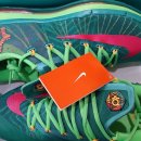 망고그린 이미지