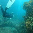 (주)펀섬 이미지