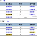 Team Shark 이미지