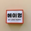 개스키라빈스 | 인천 24시 무인애견카페 : 헤이멍