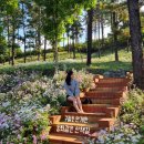 율곡수목원(1) | 경기도 파주 가볼만한곳 율곡수목원 단풍 구경 구절초 위치 입장료 주차