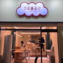 대우당동물약국 | [서울/금천] 크로플공간 : 시흥동 은행나무 디저트 카페 추천 단골 예약 크로플 맛집