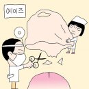 머리마당 - 강릉시 | 머리마당