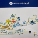 화평로14번길 23 | 대구 아이랑 가볼만한곳 신세계백화점 아쿠아리움 X 위시캣 콜라보 할인 인어공주 공연 후기