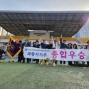 모든 종합 광고 이미지