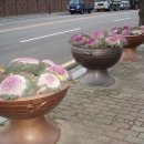 오동도관광호텔 이미지