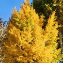 일품행정사사무소 이미지