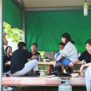 둥구나무민박 이미지