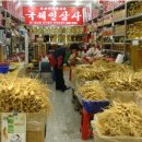국제인삼사