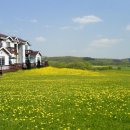 그림같은 집 이미지