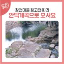 의구농장 | 초가을, 창천 마을 창고천 따라서 안덕계곡으로 모셔요