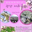 화신꽃농원 이미지