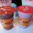 1983 조대점 이미지