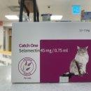 천안터미널 동물약국 이미지