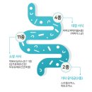 블루닥터 이미지