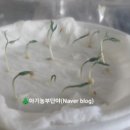 새싹2호농장 이미지