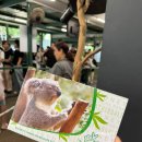 시닉 | 시드니 블루마운틴 투어 솔직 후기 페더데일동물원 시닉월드 호주 시드니 여행 코스 추천