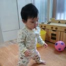 네버랜드어린이집 이미지