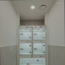 아이편한동물의료센터 네이버블로그