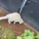 엄마찬스 이미지