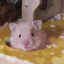 패러그린샵 동래점 이미지