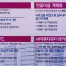 (주)비에스푸드 네이버블로그