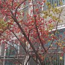 삼단지농장 이미지