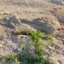 너래농원 이미지