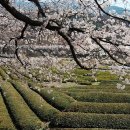 목통마을 입구 이미지