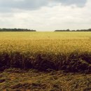 우리영농조합법인 농장 이미지