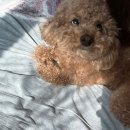 신세계PC클럽 | 있잖아 사실 난 더 높은 곳을 보고 싶었어